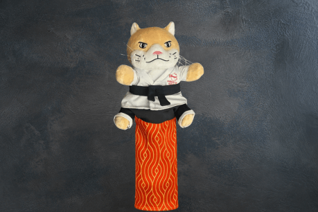 Karate Kitty: Is This the Purrfect Playmate?